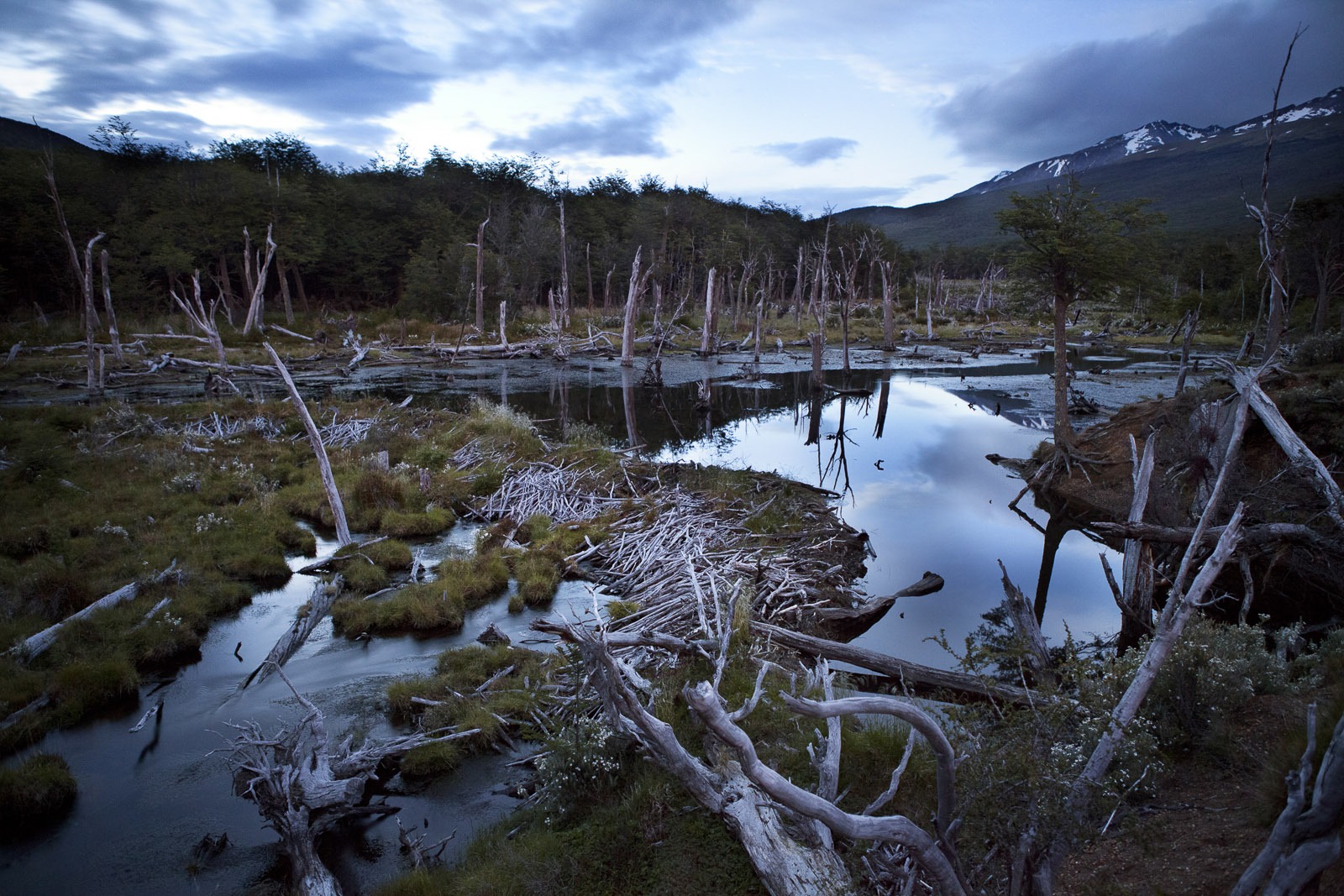 8 fotos que te harán enamorar del Parque Nacional Tierra del Fuego
